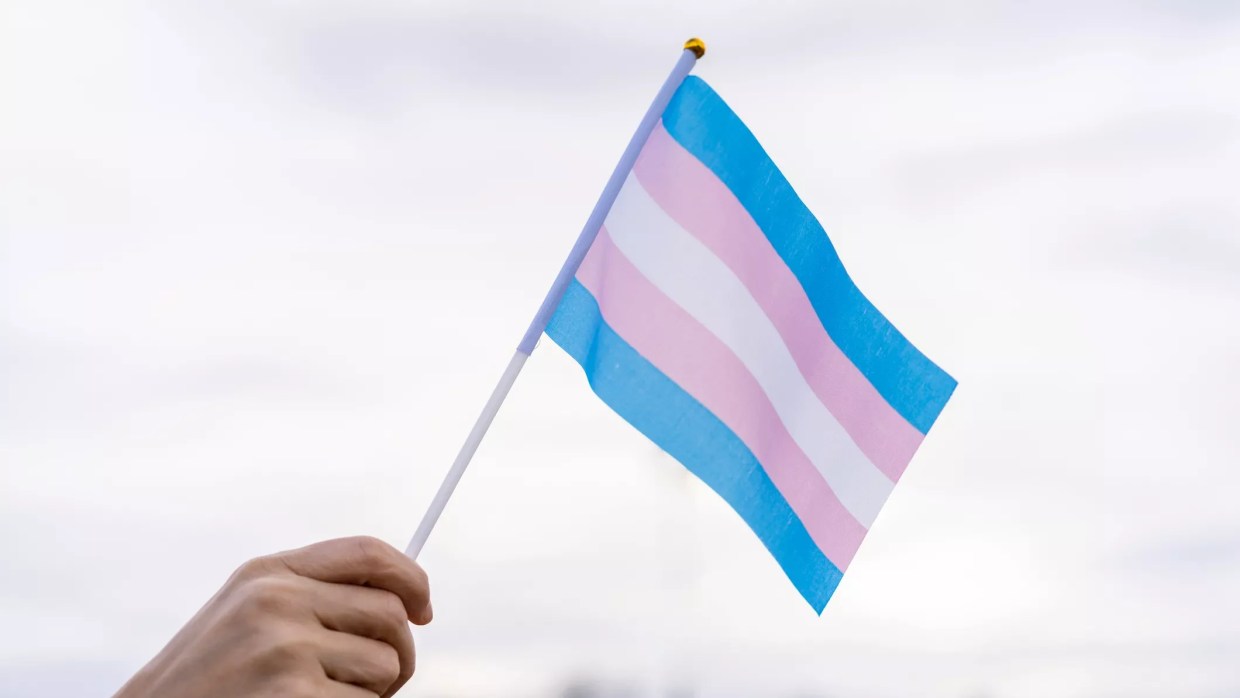 a hand waves a small flag with trans advocacy colors (pink, white, powder plue)
