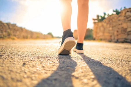ASU researchers tout benefits of feeling connected to nature 