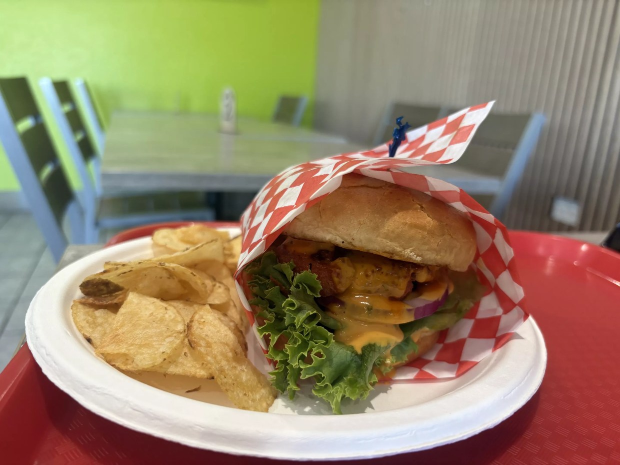 This unique new restaurant brings Indian burgers to Tempe
