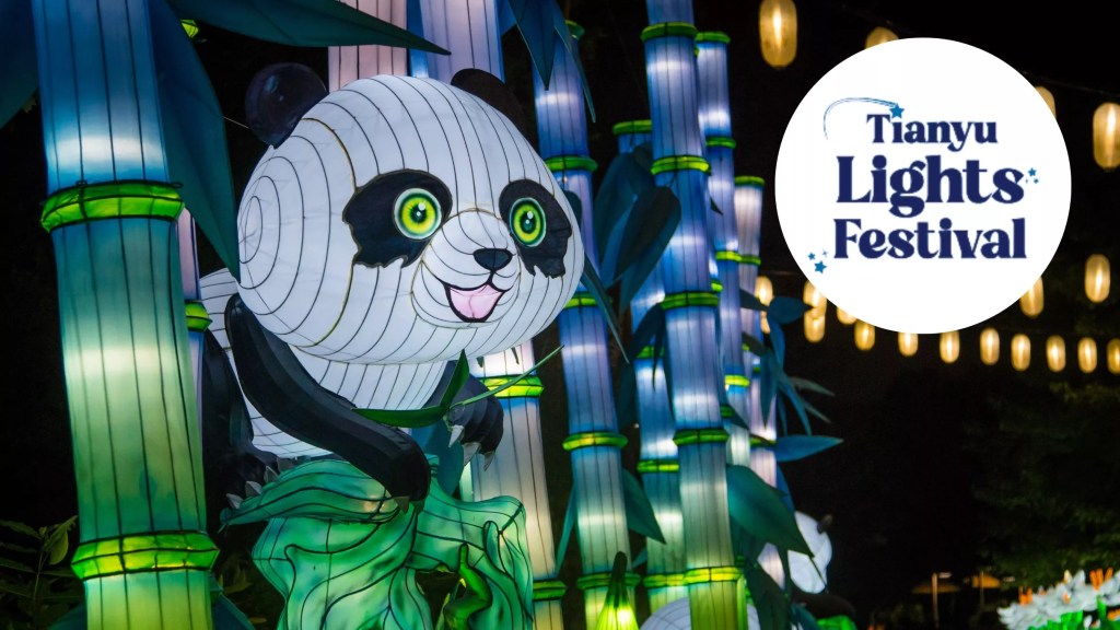 Tianyu Lights Festival Phoenix 2025